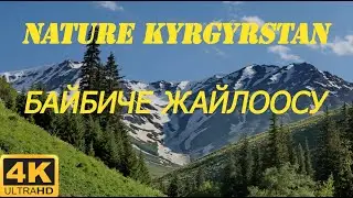 КЫРГЫЗСТАН KYRGYSZTAN САМЫЕ КРАСИВЫЕ МЕСТА ! Байбиче Жайлоосу