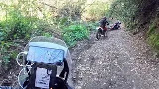 Forest attack - Yamaha Tenere 700 vs DRZ 400