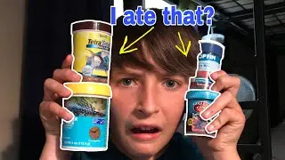 EATING FISH FOOD CHALLENGE!!