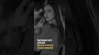 Aşk Sana Benzer 