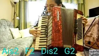Undertale Star (unused soundtrack) accordion cover