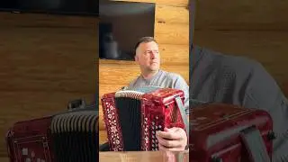 Про яблоньку под гармонь #гармонь #сударев #music #топ #сад #огород