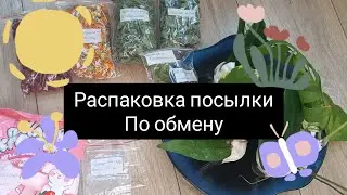 распаковка посылки по обмену