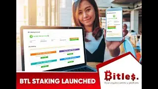 Bitles_Обзор работы системы BTL Staking