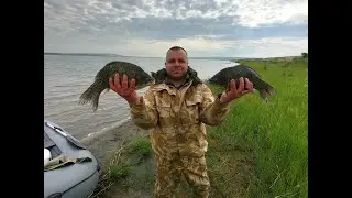 ТАКИХ КАРАСЕЙ-МОНСТРОВ МЫ ЕЩЁ НЕ ЛОВИЛИ!!!/РЫБАЛКА НА ПОПЛАВОК/УДОЧКИ В ДУГУ/ПРОЩАЛЬНЫЙ ТАНЕЦ ОРЛОВ!