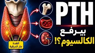 E3. #Hormone Parathyroid  Gland & PTH هرمون الغدة جار درقية