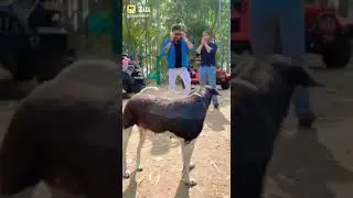 23 जून 2022