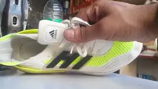 real aidos