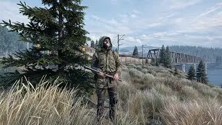 DayZ SFP MOD: Дикие