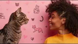10 Surprising Signs That Prove Your Cat Sees You as Their Mama