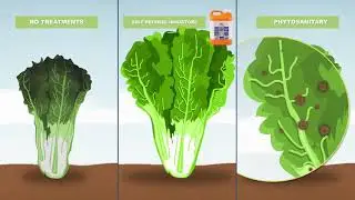 HAF TOTAL: Natural plant self-defense system inducer
