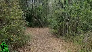 Nature Walk | Shaded Trail Entrance at Pedersen Wildlife Reserve