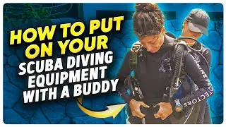 How to Put On Your Scuba Diving Equipment (with Help from Your Scuba Buddy) | Essential Scuba Skills