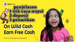 Cara nuyul wild cash tercepat