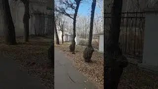 Скоро лето!