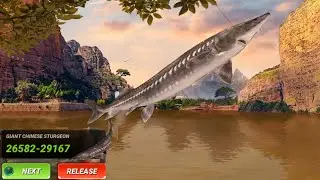 Fishing The Biggest Fish In Fishing Clash! Ep132