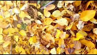 Relaxing , relaxing music, relaxing piano music, meditation music