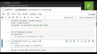 Python If Else Statement Explained with Examples | Beginner Programming Tutorial Lecture5