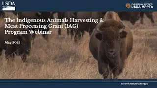 The Indigenous Animals Harvesting and Meat Processing Grant (IAG) Program Webinar