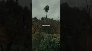 It’s Raining 01-03-2024 