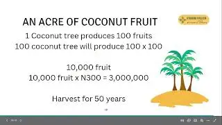 Why You Should Plant Coconut