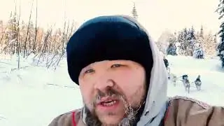 Поездка по Назасу. Спуск собак с ОВРАГА!!!