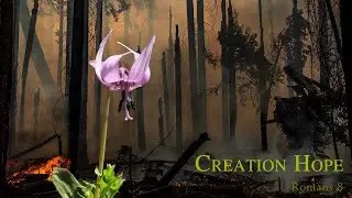 09/15/2024   Creation Hope