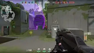 NOOOOOOO | Valorant shorts and clips