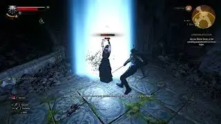 Geralt, what the hell is that?!
