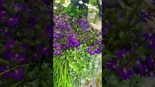 Бочка с цветами, как элемент декора сада 🌟Garten 🌟Dekoideen 🌟