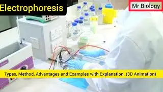 Electrophoresis & its type | 3D animation