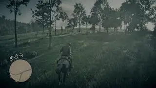 Red Dead Redemption 2_20250328222022