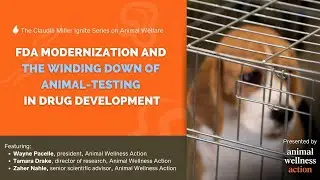 FDA Modernization and the Winding Down of Animal-Testing in Drug Development