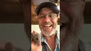 Meet Slim and Shady!!