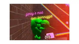 Garry's mod avec @Teamnugget766