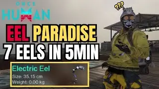 CRAZY Spot for Getting Eels in Once Human - You won't find a better place.