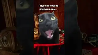Мой шок бывает в шоке 😄 #духовность #жиза #магия #гадание #таро #эзотерика
