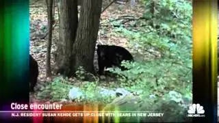 N J  woman tries to break up bear brawl.
