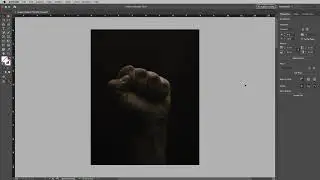 Adobe InDesign | Project 3 Demo | Assembling Multi-Page Digital Publication