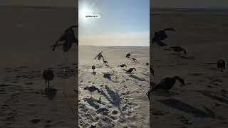 С 9 мая!!! Друзья! ✊🏽 