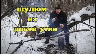 Шулюм из дикой утки