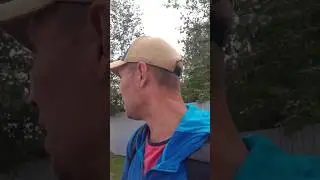 Плагиат