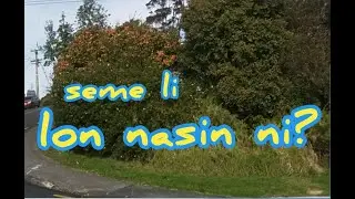 mi tawa lon nasin nasa!