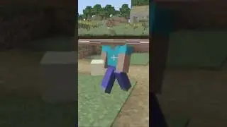 WTF? #minecraft