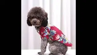 Pet Summer T-Shirts Hawaii Style Floral Cat Shirt Hawaiian Printed Breathable Cool Beach Seaside