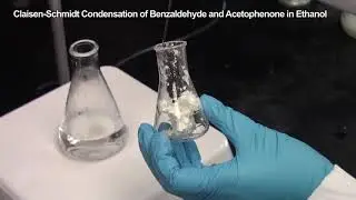 CHEM 3810 Org Lab II - Expt 7 (2020-2021)