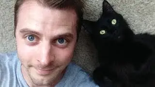 A Cat's Guide to Loving a Human