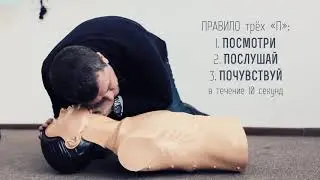 Алгоритм СЛР