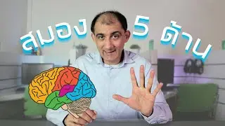 ก่อน ฝึกสมอง 5 ด้าน (1/6) มาทำความเข้าใจกันก่อน | BrainFit Studio