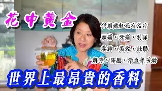 (618)【活血化淤、降血壓只要一朵花】花中黃金藏紅花有治療頭痛、牙痛、利尿、養神、美容、壯陽、解毒、降壓、活血等功效！Joanna澳洲生活